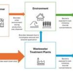 Scientists warn antibacterial soaps and wipes can fuel antimicrobial resistance