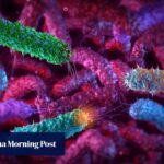 Chinese scientists use E coli to fight breast tumours from within in mice study