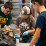 Veterinary Science Certificate Program promotes early steps on career path
