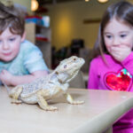 Spark Curiosity This Summer at Brooklyn Preschool of Science (sponsored) | Brooklyn Bridge Parents