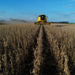 Global financial tightening makes South and Southeast Asia’s food security fragile