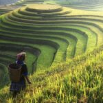 The Lab selects eight new climate finance solutions expected to unlock USD 600M for emerging markets