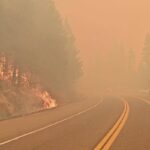 Science isn’t a show of hands | LETTER