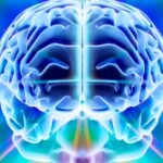 Does Human Consciousness Really Exist? Here’s What Scientists Think