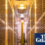 Confidential health records from UK BioBank project exposed online | Genetics
