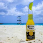 Is Constellation Brands, Inc. (STZ) A Good Stock To Buy Now?
