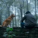 Hulu Sets Streaming Date for Horror Movie Centered on a Dog