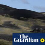 Terraforma review – unhurried portrait of Ascension Island’s human-made nature | Movies