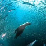 16 award-winning photographs from around the world