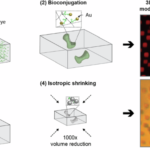 Three-dimensional nanophotonics with spatially modulated optical properties