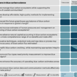 Priority questions for the next decade of blue carbon science