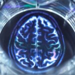 Scientists Are Trying to Train Lab-Grown Brains. The Brains Have Started to Solve Problems.