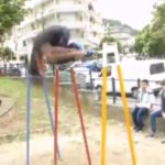 STREET WORKOUT GREECE