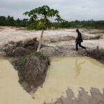 Cocoa beans rot and West African farmers seek other options after commodity crash