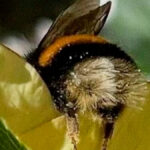 You Don’t Need To Like Science To Enjoy These 83 Memes And Interesting Posts (New Pics)