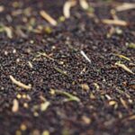 Canada offers financial aid to farmers and companies affected by Iran war price spikes