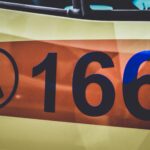 German Tourist Attacked by Pack of Stray Dogs in Northern Greece Town