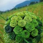 @nina_haha8 handmade diy foryou    …