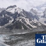 How UK cuts to climate finance could bankrupt ecosystems at home – and abroad | Environment