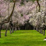 Top Money Book Recommendations From Financially Savvy Investors