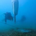 Greece hopes eco moorings will protect vital seagrass colonies | National News