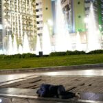 Greece Daily Life | National News