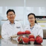 NUS Scientists Show Dragon Fruit Peel Extract Boosts Bread Nutrition and Lowers Glycaemic Potential