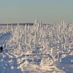 Time to hit the trail westward | Alaska Science Forum