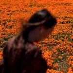 Welcome to allergy season. Here’s how to protect yourself | Health & Science