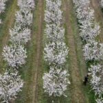 APTOPIX Greece Daily Life | Nation/World