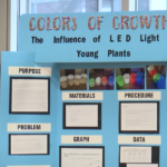 Missouri Southern hosts 37th annual regional science fair | Community