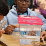 From Shells to Science | Museums