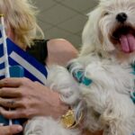 ‘No family left behind’: Passengers board UAE-Greece repatriation flight with precious pets