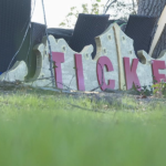 Melrose residents push back on Alachua County’s sponsorship of Wildflowers Music Park festival