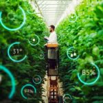 Light Science wins £300,000 university glasshouse contract