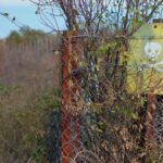 Greece accused of deploying Afghan paramilitaries to attack asylum seekers – EUobserver