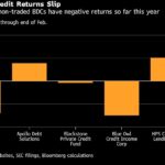 Blue Owl, HPS Join Private Credit Funds Stung by February Losses