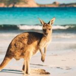 16% of Aussie Gen Z ‘Completely Trust’ AI with Financial Decisions