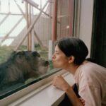 Will humans and animals ever be able to converse? Here’s what science says.