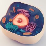 Scientists simulate complete life cycle of a minimal bacterial cell