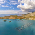 Fish Farmer – News – Cooke closes in on control of Avramar Greece