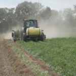 Federal relief programs offer Alabama farmers financial support after challenging year