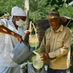 Blended Finance: From Buzzword to Real-World Results