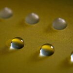 Can Fungi Control the Weather? Scientists Say It’s Possible