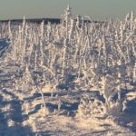 After a frigid delay, it’s time to hit the trail westward