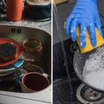 Scientists Warn of Harmful Release from Kitchen Sponges