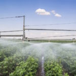 Fashion ‘failing to tackle water impacts’