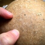 Ancient Greek Jar From 2,300 Years Ago Holds Curse Against 55 People