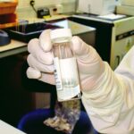 AI in the lab: the path to full integration