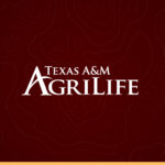 Chris Field named director of Aggie Financial Planning Clinic